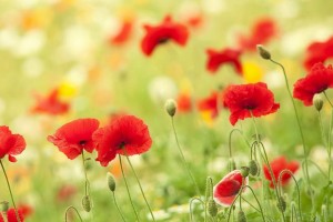 ���걣֤�𽻶���